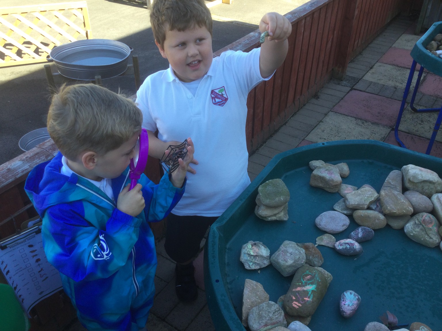 Outdoor Learning - Minibeast Hunt