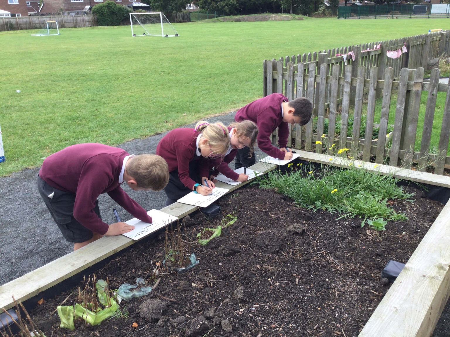 Gardening