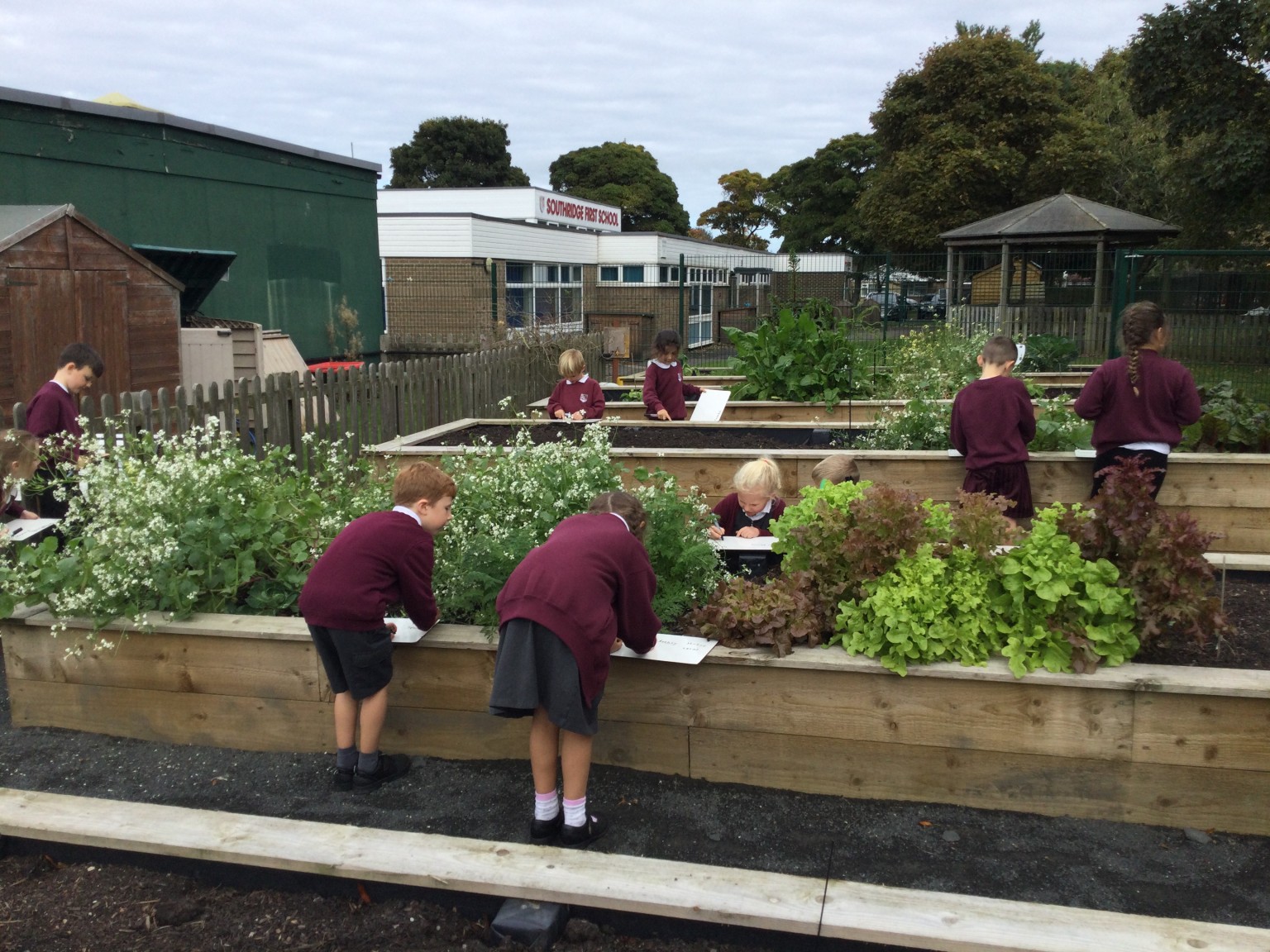 Gardening