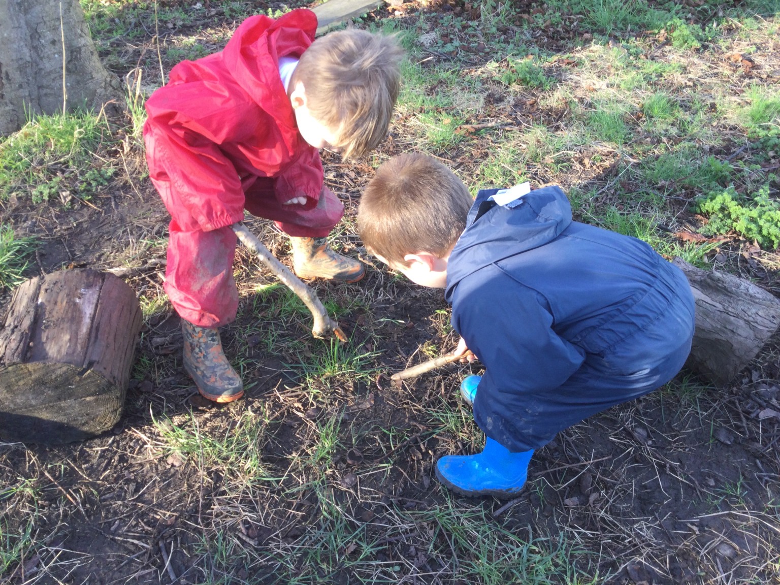 Searching for minibeasts