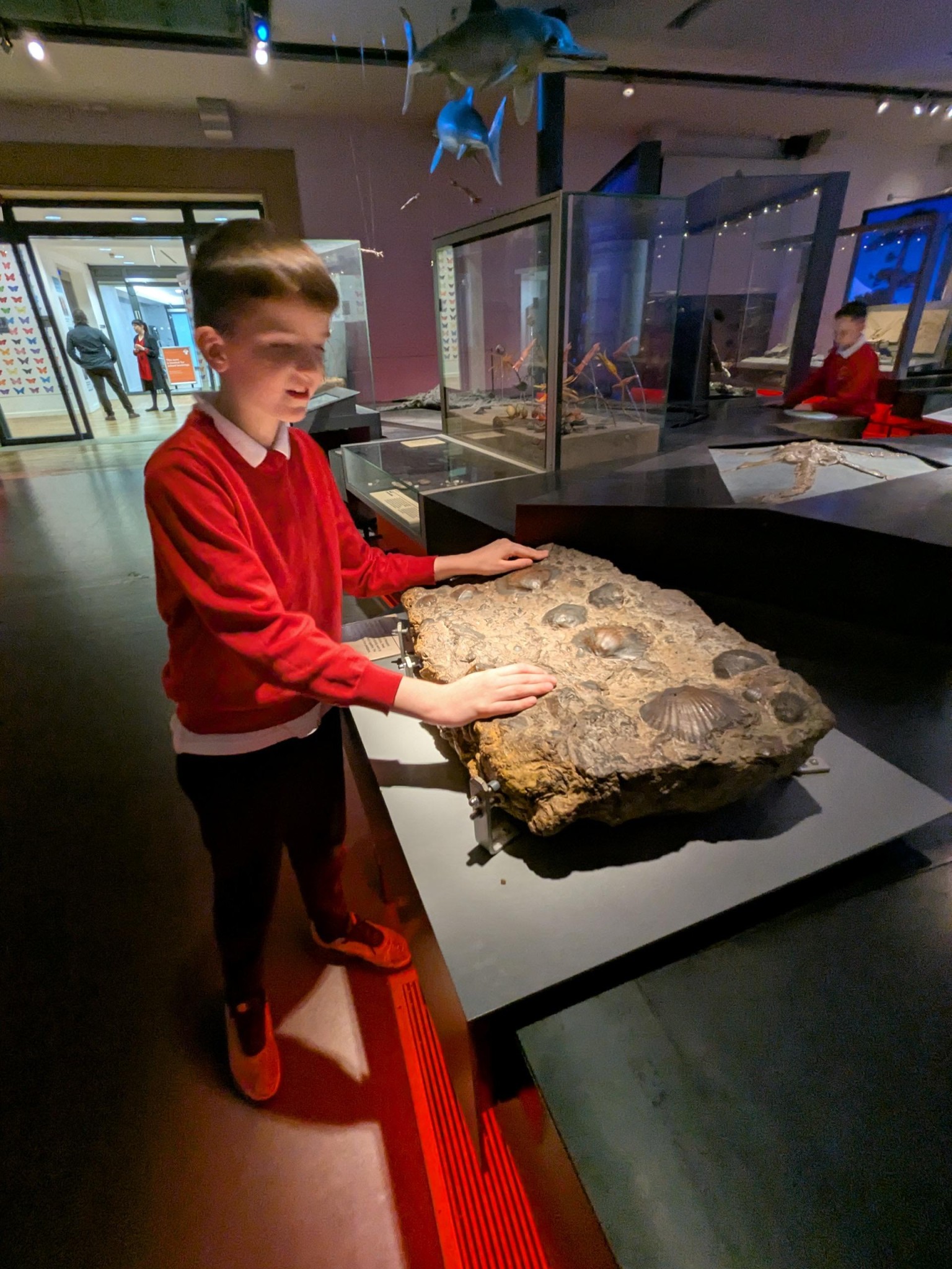 Time Odyssey: Great North Museum