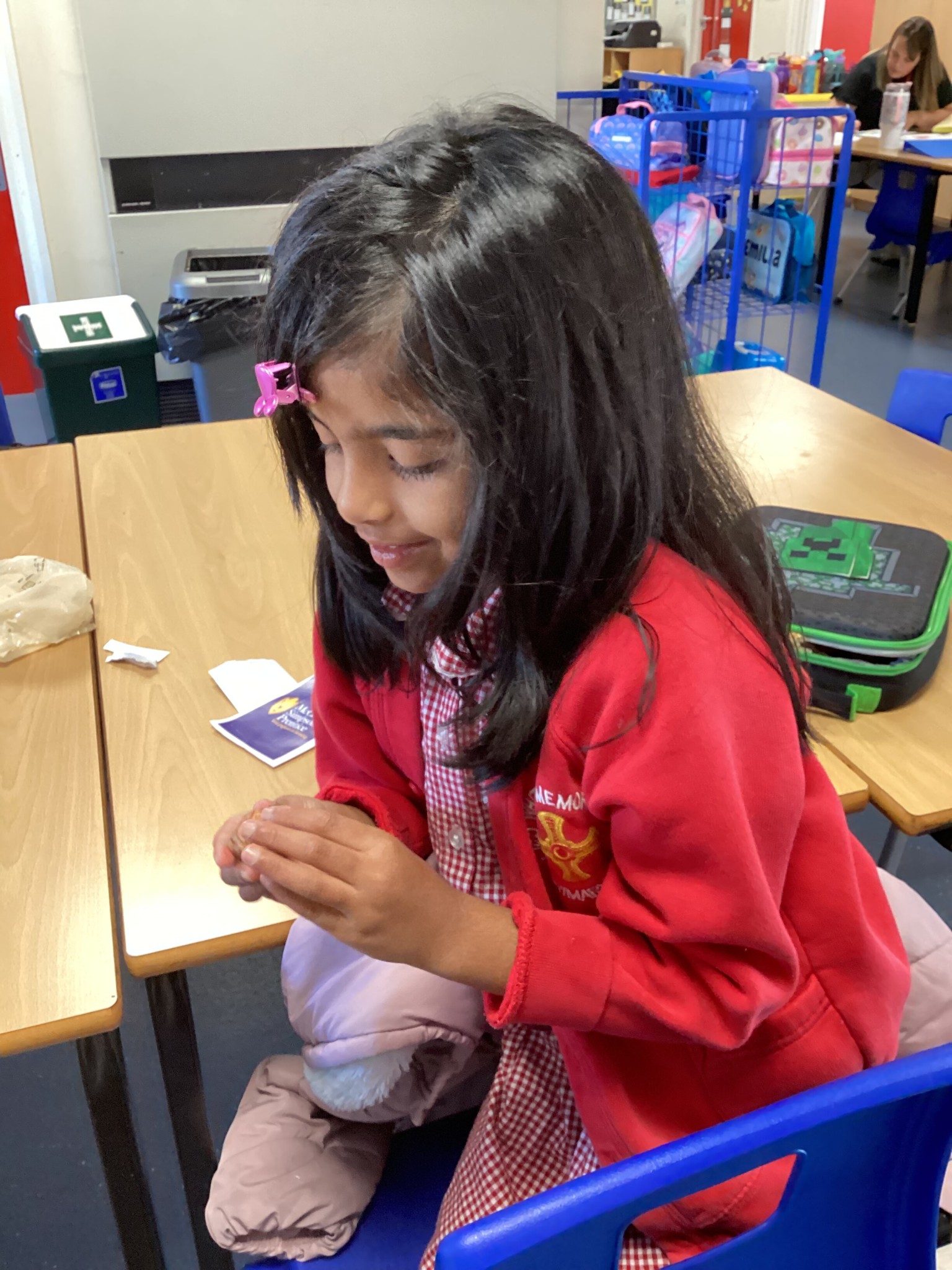 Investigating seeds in science