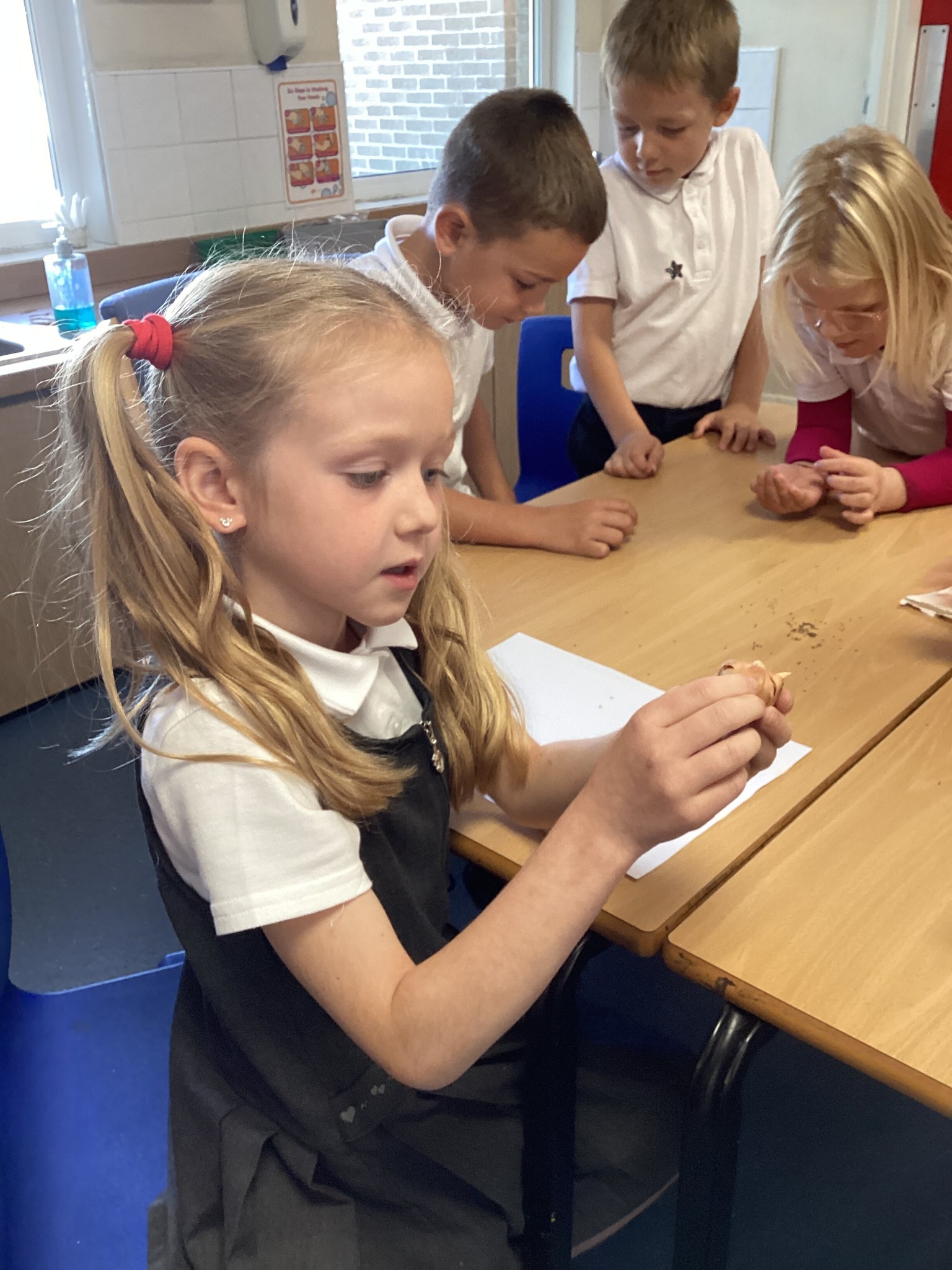 Investigating seeds in science