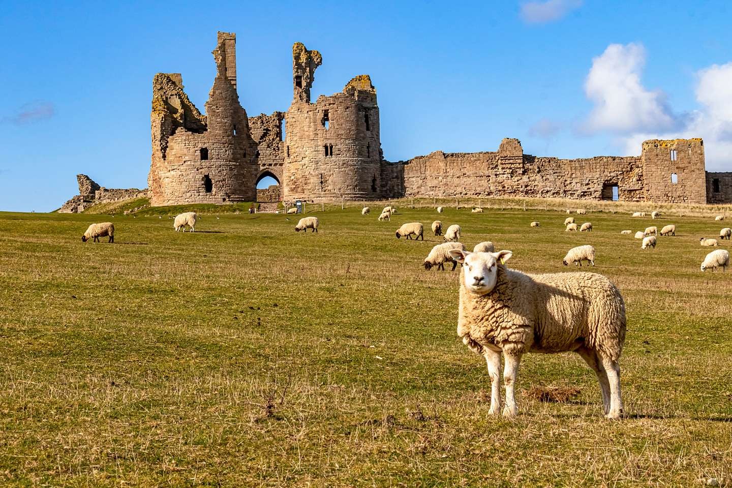 Dunstanburgh Castle
