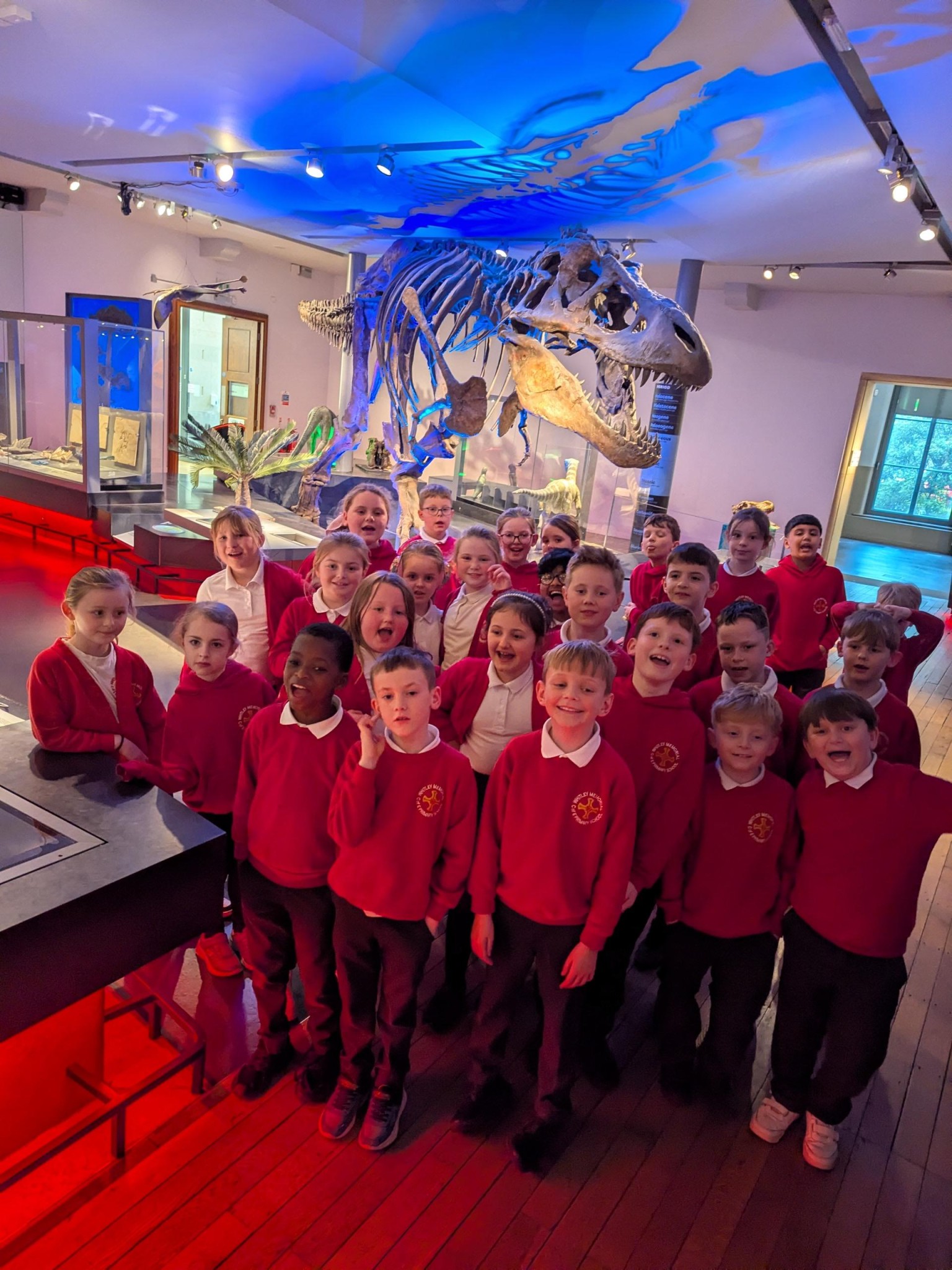 Time Odyssey: Great North Museum