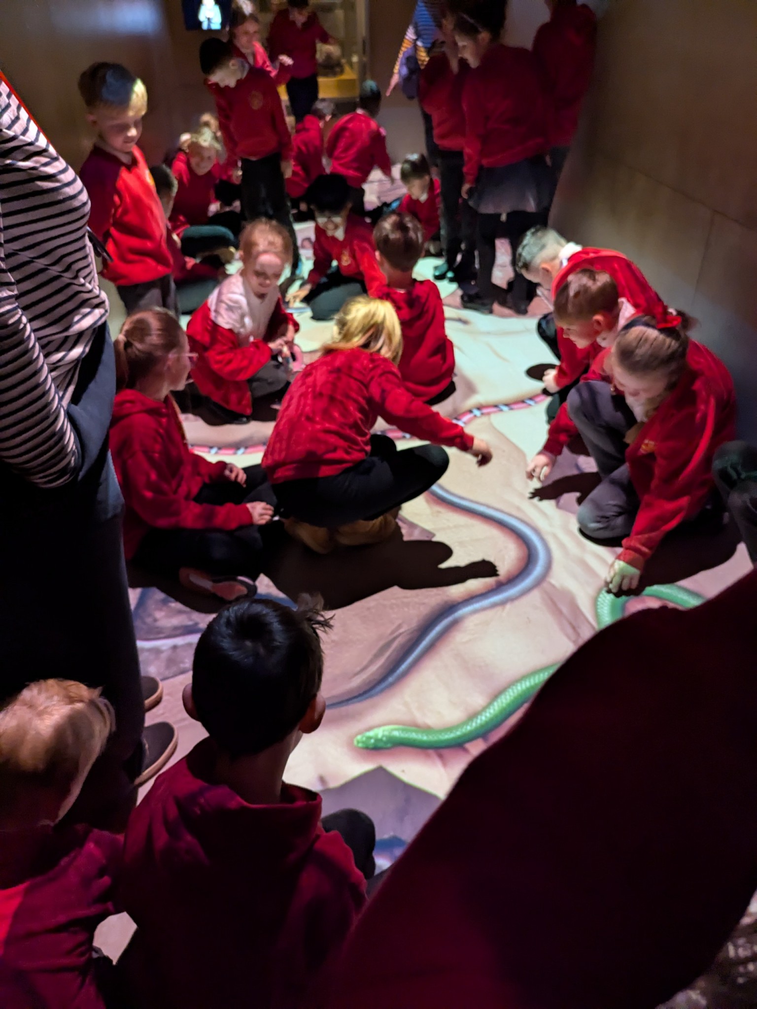 Time Odyssey: Great North Museum