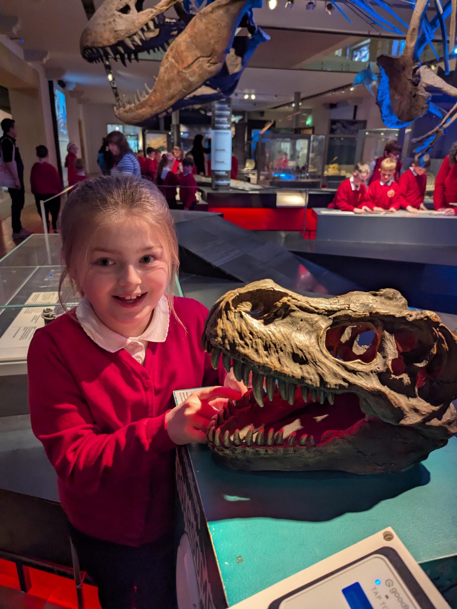 Time Odyssey: Great North Museum