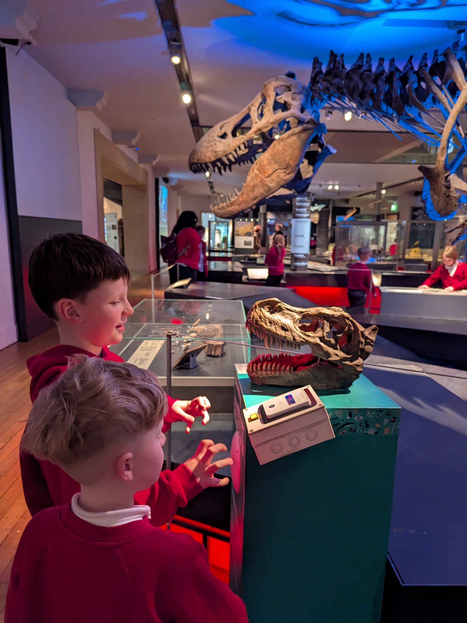 Time Odyssey: Great North Museum