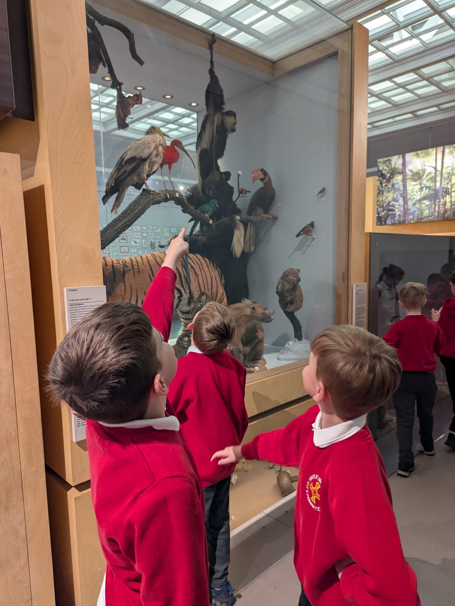 Time Odyssey: Great North Museum