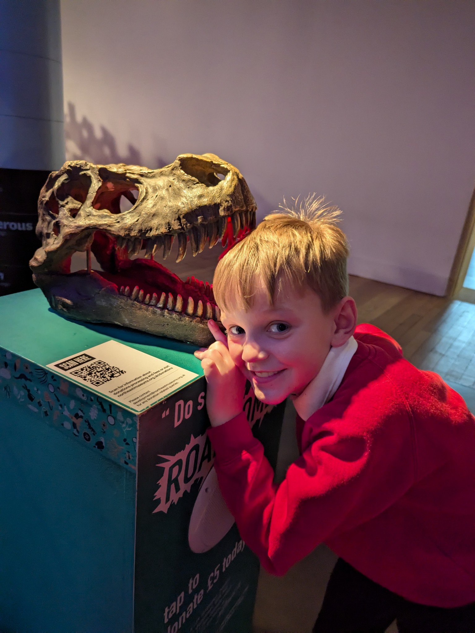 Time Odyssey: Great North Museum