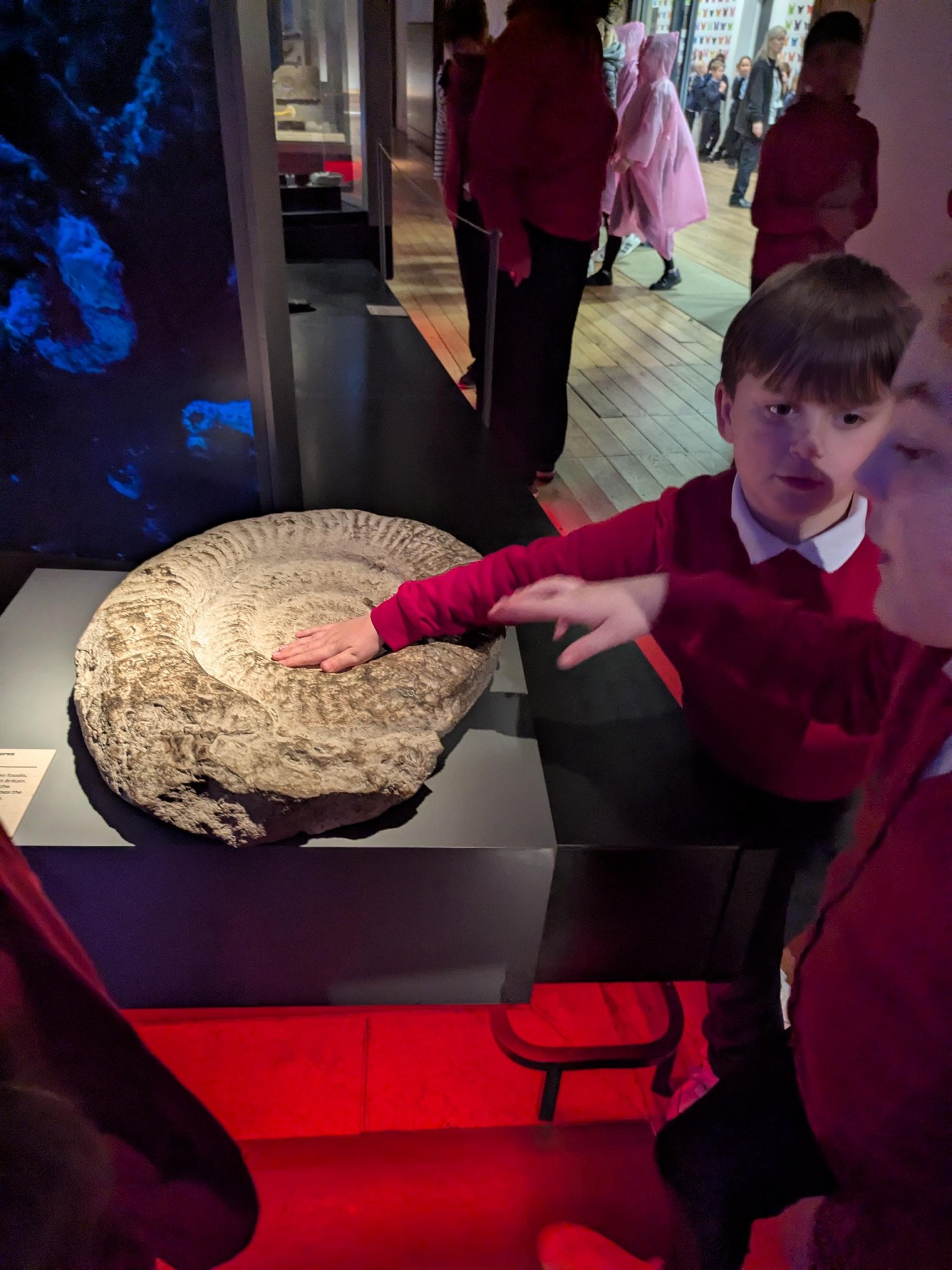 Time Odyssey: Great North Museum