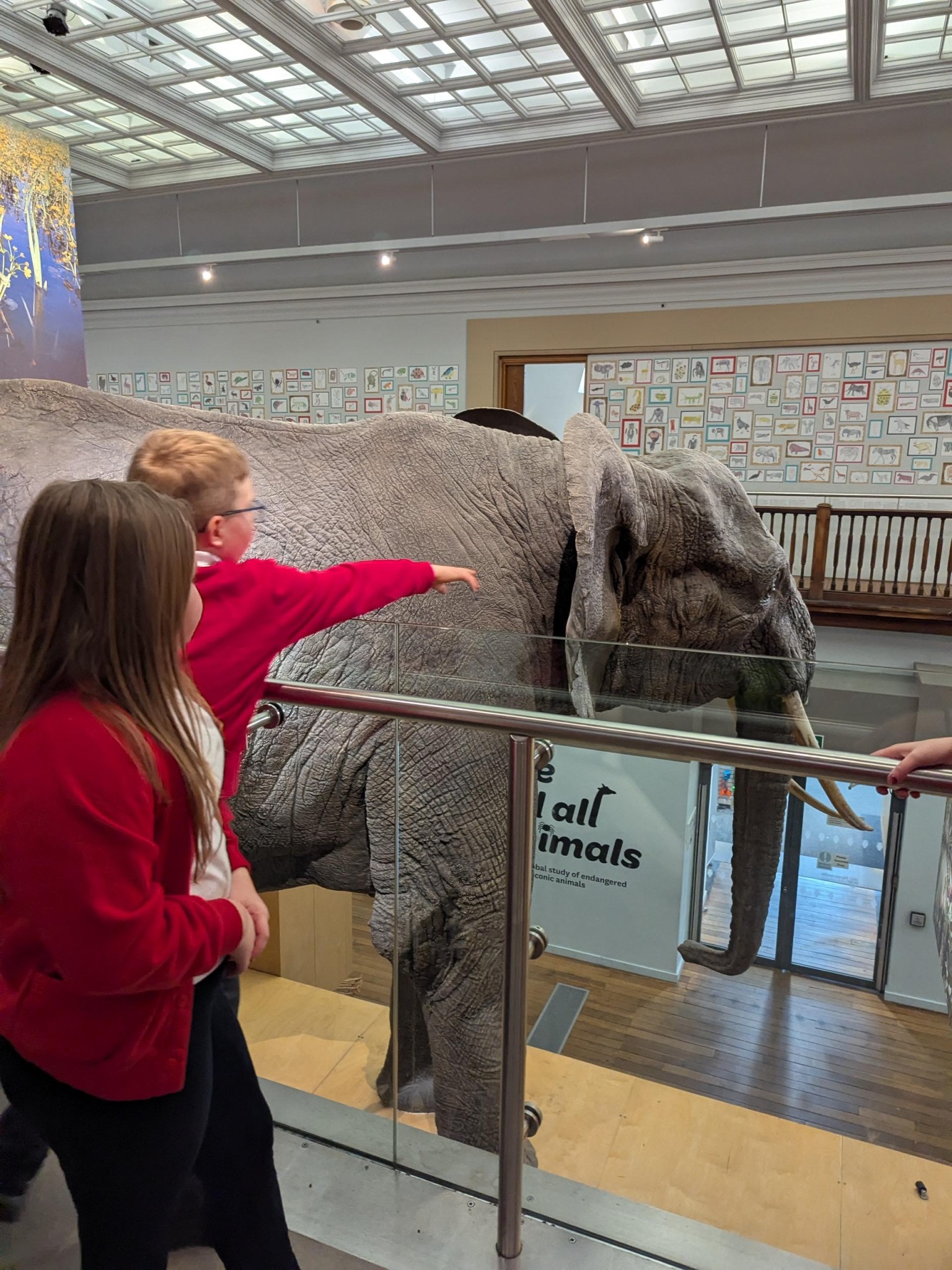 Time Odyssey: Great North Museum