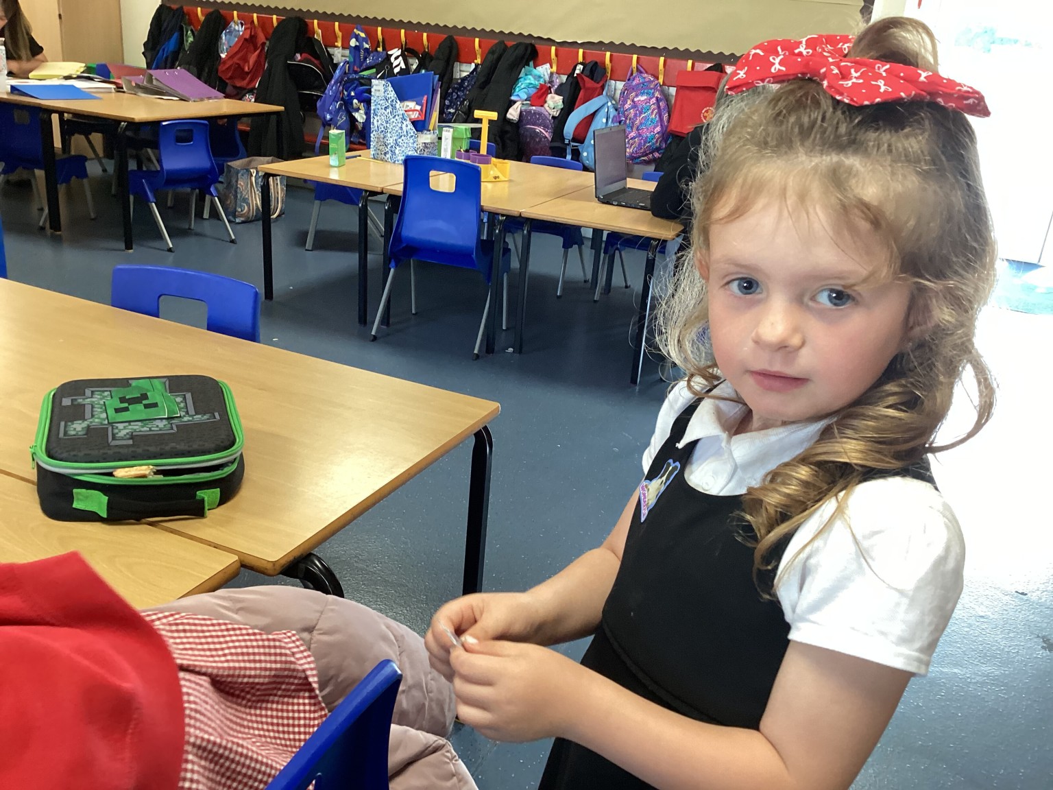 Investigating seeds in science