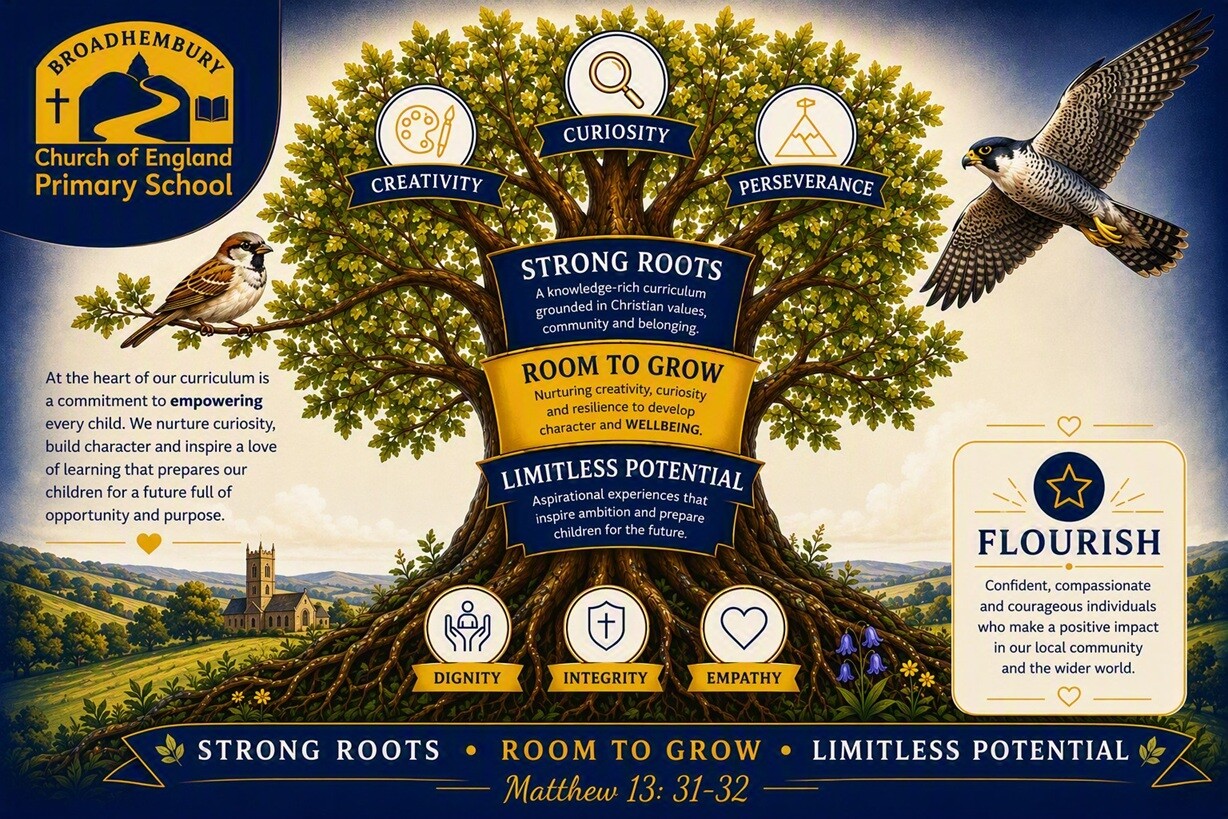Curriculum Poster