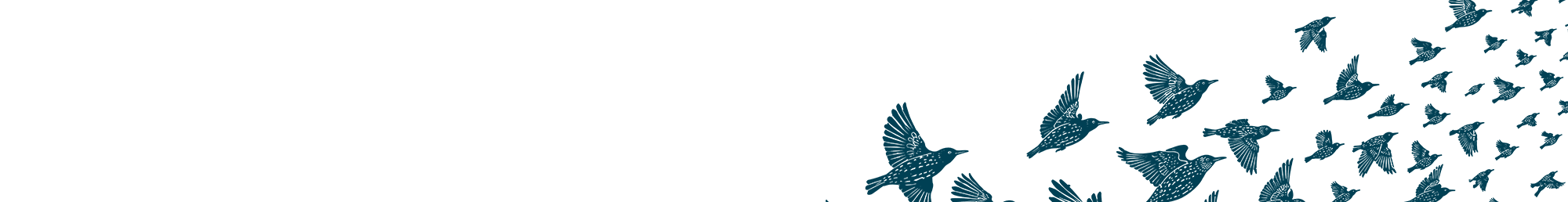 Default Background Image