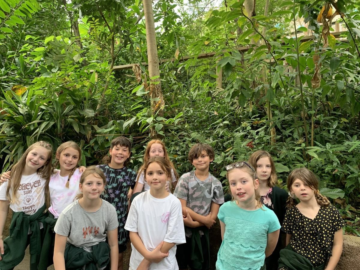 Children on a school trip