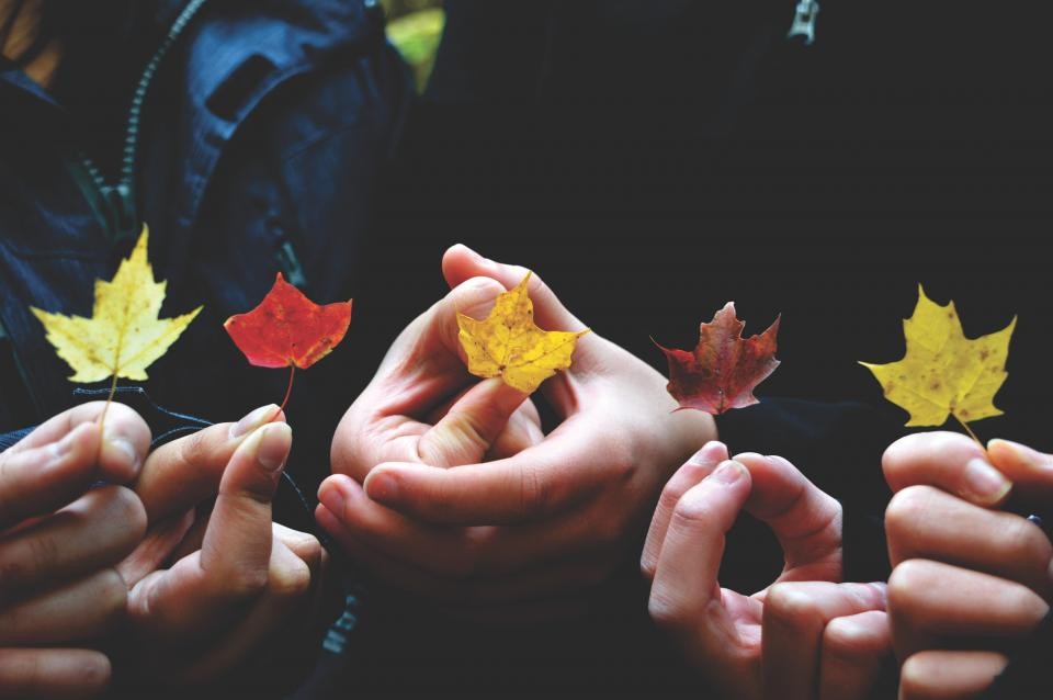 Children holding Autumn leaves